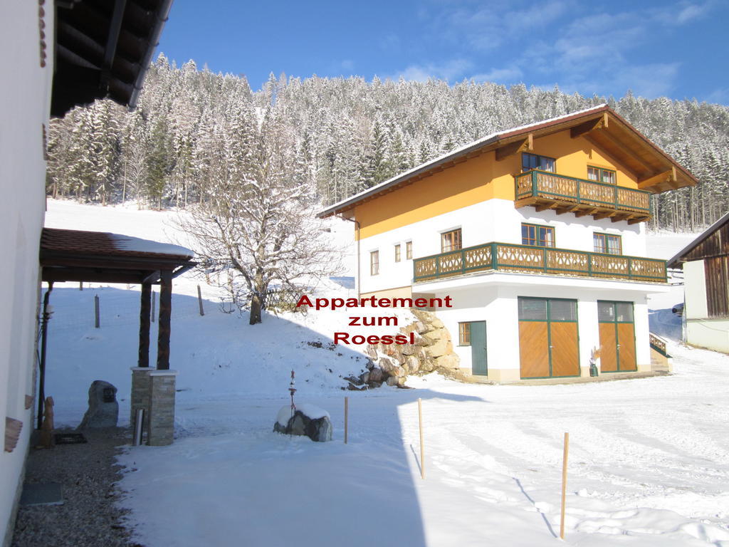 Appartement Zum Roessl Ramsau am Dachstein Quarto foto